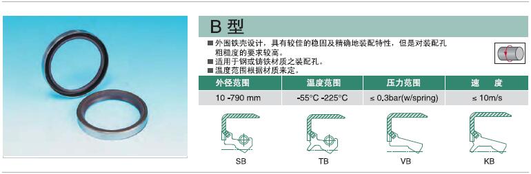NAK旋轉油封B型.jpg