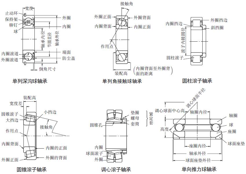 NSK滾動軸承的類型及軸承各部分圖示.jpg